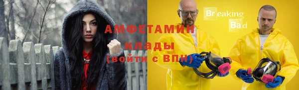крисы Новодвинск