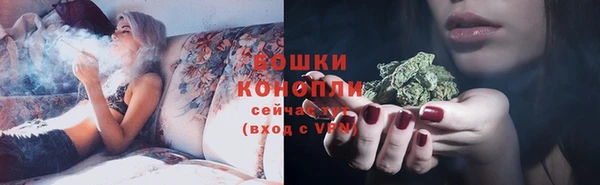 прущие грибы Нязепетровск