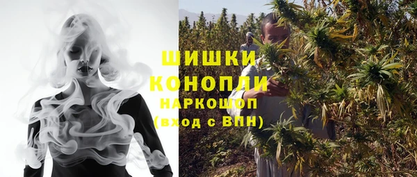 2c-b Новозыбков
