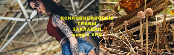 крисы Новодвинск