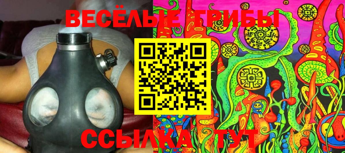 Галлюциногенные грибы Psilocybine cubensis  Вход с VPN  Мыски  Галлюциногенные грибы Psilocybe 