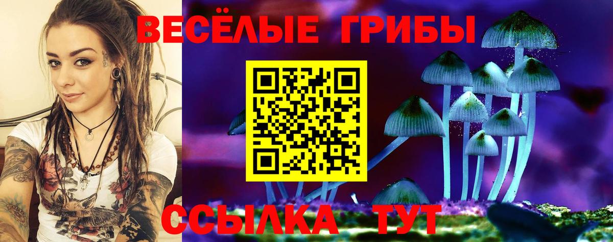 Мыски  Галлюциногенные грибы мухоморы  Вход с VPN 