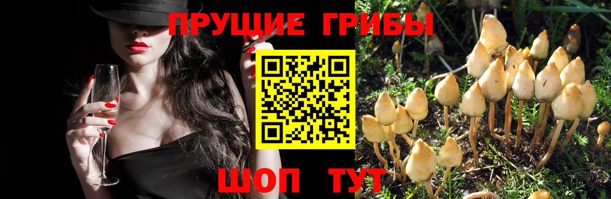 Галлюциногенные грибы MAGIC MUSHROOMS Мыски